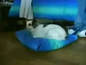 دختر وب کم حیرت انگی ...